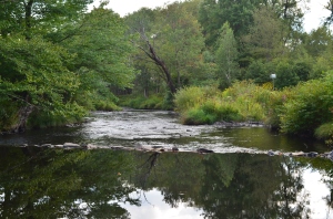 The Lehigh River In Thornhurst 